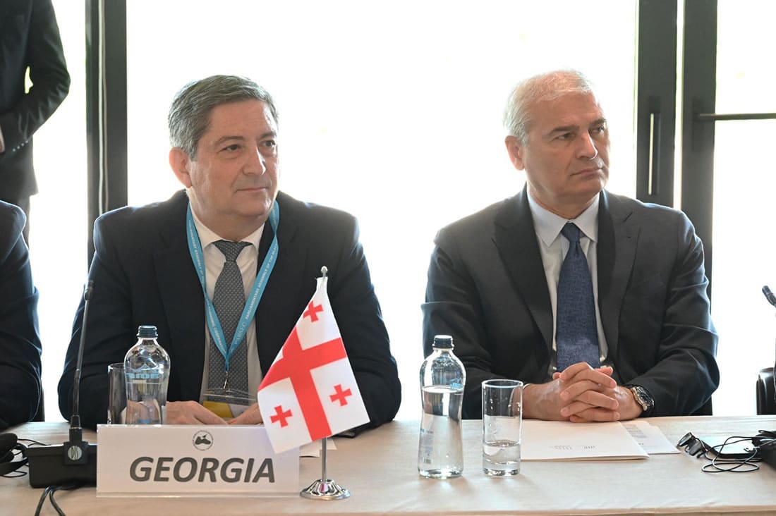 Tbilisi, 30 June 2026. Participation of a representative of the IAO to the 67th PABSEC General Assembly